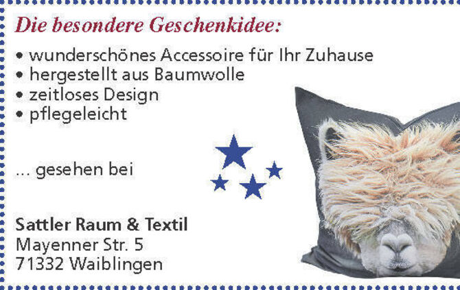 Geschenketipps-3_Seite_17