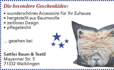 Geschenketipps-3_Seite_17
