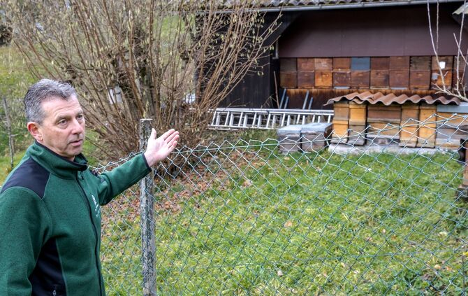 Was macht die Honigbiene im Winter? Das erklärt der Imker und Naturparkführer Matthias Motzingemba, Winnenden, 16.12.2024.