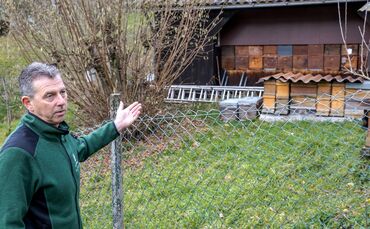 Was macht die Honigbiene im Winter? Das erklärt der Imker und Naturparkführer Matthias Motzingemba, Winnenden, 16.12.2024.