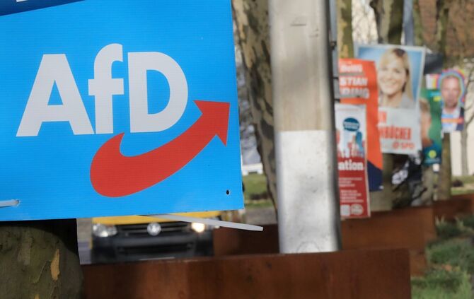 afd habermann symbolfoto