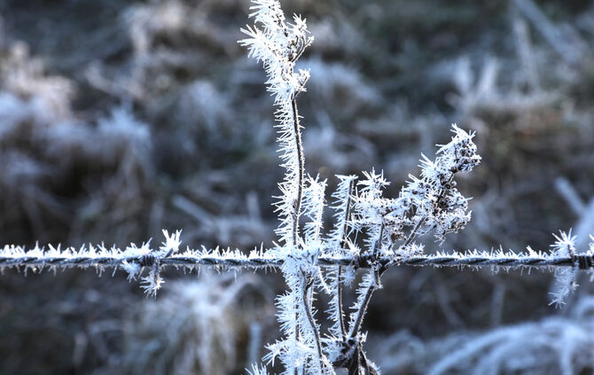 Frost Winter Symbolfoto