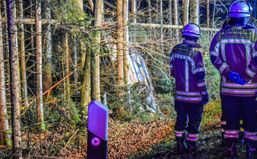 Wagen prallt gegen Baum - Fahrer stirbt