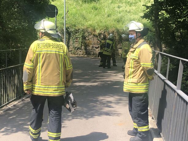 Bietigheim: Auto landet in Enz
