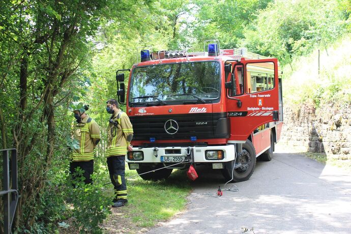 Bietigheim: PKW landet in der Enz