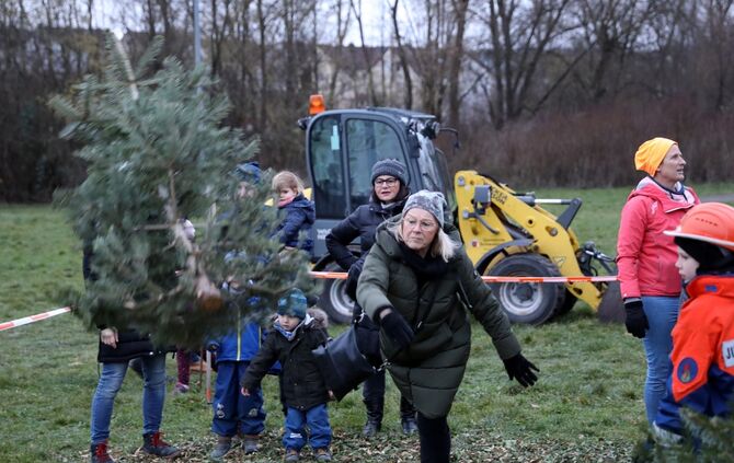 Christbaumweitwurf