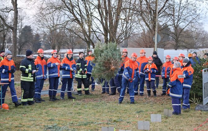 Christbaumweitwurf