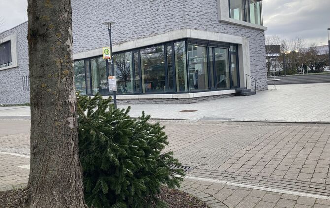 Weihnachtsbaum-Abholung in Kernen