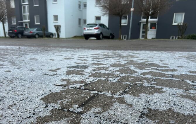 WhatsApp Image 2025-01-15 at 08.52.18