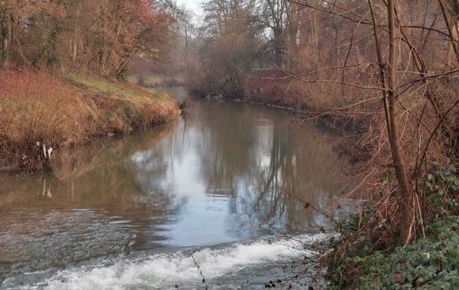 WhatsApp Image 2025-01-16 at 10.51.38