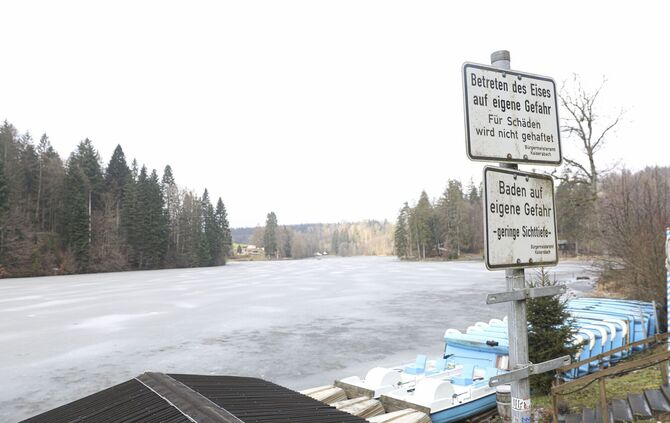 Ebnisee