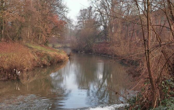 remsufer schorndorf