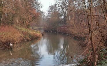 remsufer schorndorf