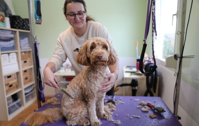 Jana Hoffmann vom Hundesalon "ins Korbchen" in Korb
