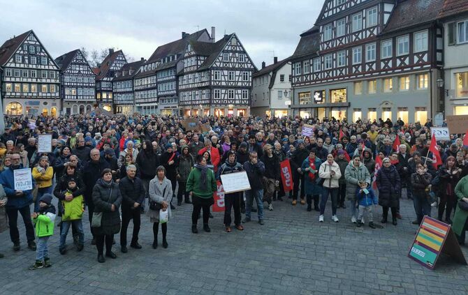 WhatsApp Image 2025-01-30 at 17.12.55