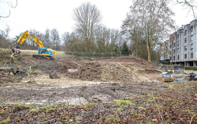Baustelle Wohnheim für Flüchtlinge startet jetzt, Bäume kommen weg, Am Kätzenbach, Waiblingen, 28.01.2025.