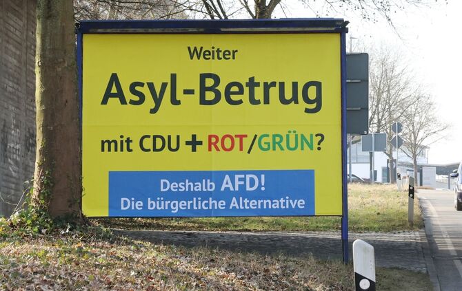 AfD Plakat - 1
