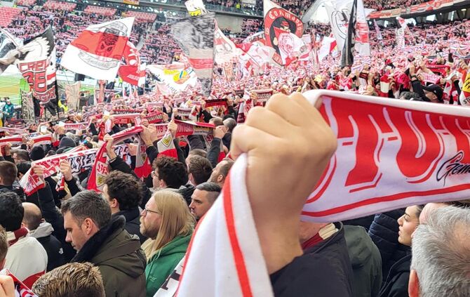 vfbfanskurve