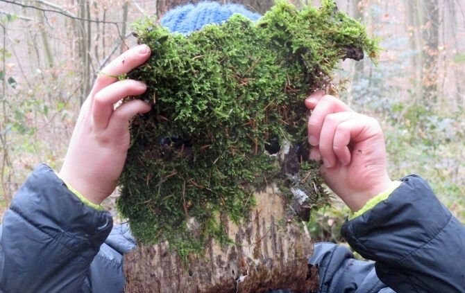 Fratzen und Hotzen: Wanderung in der Franzenklinge Murrhardt mit Naturparkführer und Waldmeister Walter Hieber