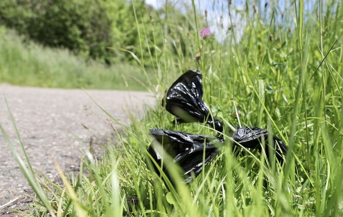 Hundekotbeutel Hundekot Wiese Wegrand entsorgt symbol symbolbild symbolfoto