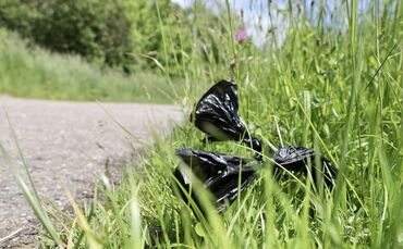 Hundekotbeutel Hundekot Wiese Wegrand entsorgt symbol symbolbild symbolfoto
