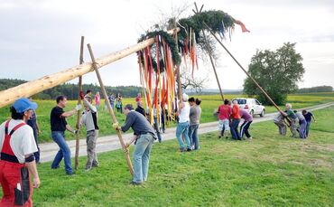 Im Welzheimer Stadtteil Steinbruck wird der Maibaum noch nach alter Sitte mit Stangen aufgerichtet. Bild: Stütz