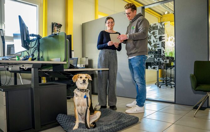 Willy bei der Arbeit