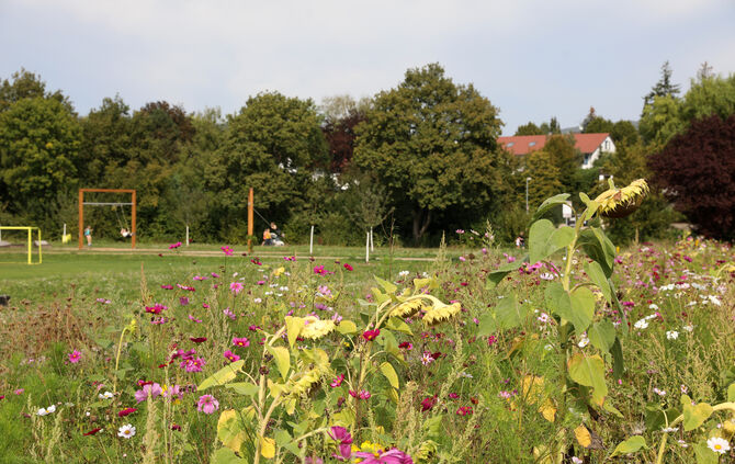 Bürgerpark Grüne Mitte