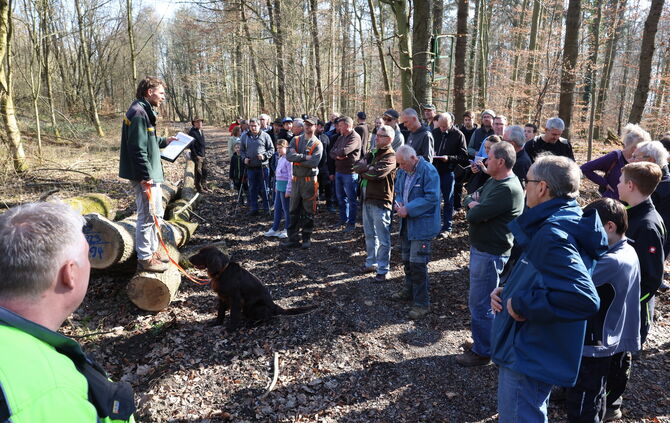 Brennholzversteigerung
