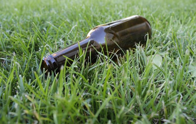 Bier Bierflasche Flasche Gras Betrunken Betrunkener Symbol Symbolfoto