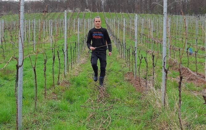 FÖJler Lars Brünig auf dem Weingut Idler - 1 - 1