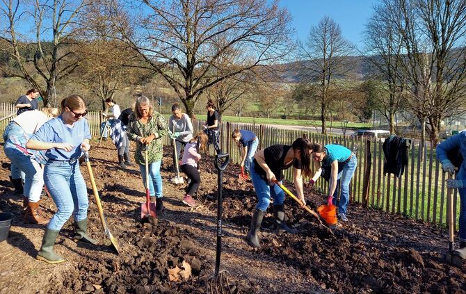 pflanzworkshop-beete-umgraben-1