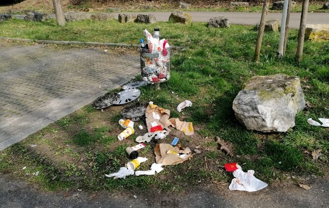 img_20250323_103129_resized_20250323_104443966