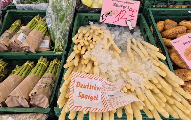 Spargel