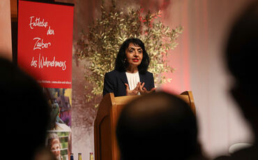 demokratie unter druck