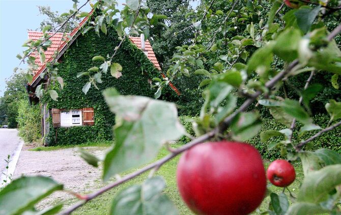 Vereinsheim des Obst und Gartenbauverein OGV Pluederhausen