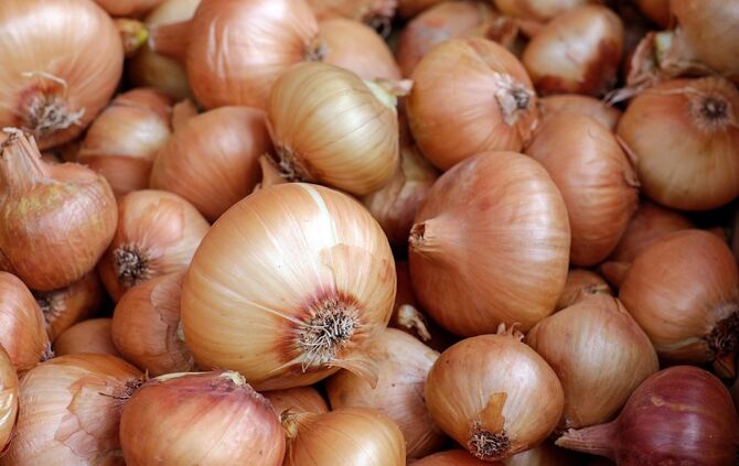 onions-1397037_1920
