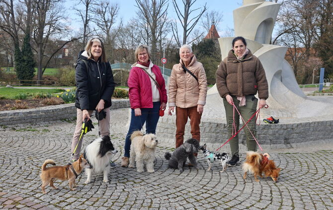 Hundefreunden des Stadtseniorenrates