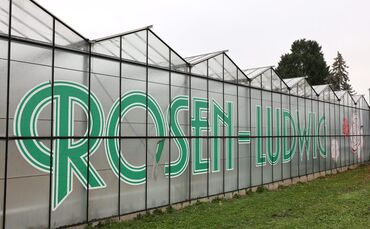 Rosen Ludwig