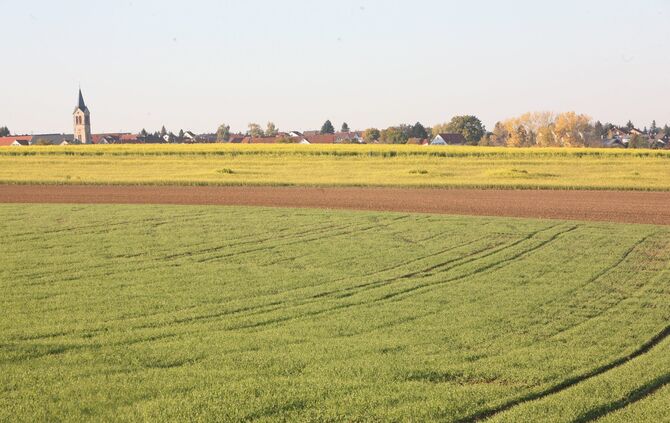 Landwirtschaftsflaeche und Kirchturm Kaisersbach
