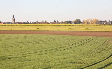 Landwirtschaftsflaeche und Kirchturm Kaisersbach