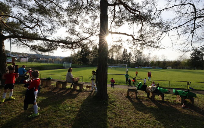 Rasenplatz TSV Weiler