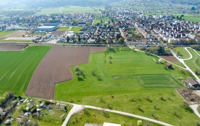 Gewann Sündle, Schorndorf-Weiler, 10.04.2025.