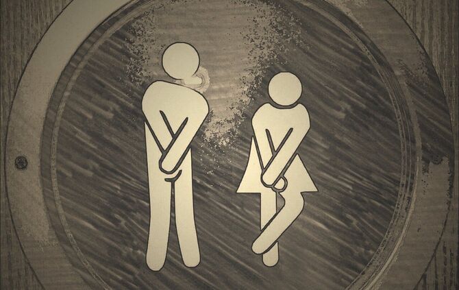 toilet-1033443_1280