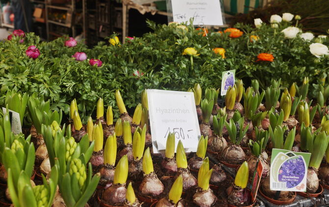 Wochenmarkt
