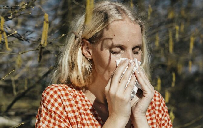 heuschnupfen-002 - 1