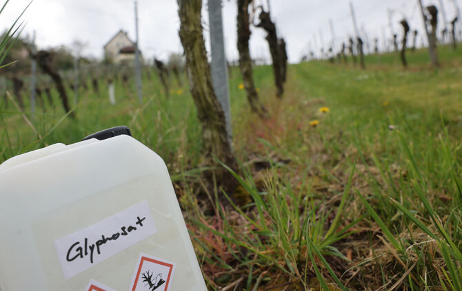 Glyphosat