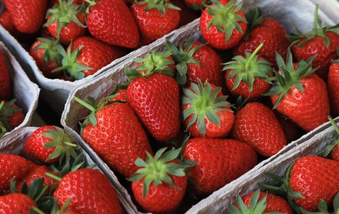 Erdbeeren Tsompanidou