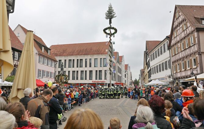 Maibaum-Aufstellung