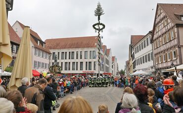 Maibaum-Aufstellung